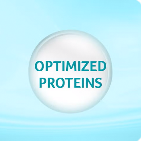 Optimized Proteins