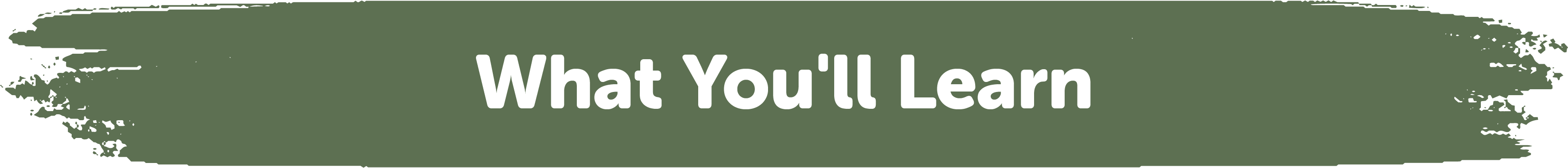 what you learn