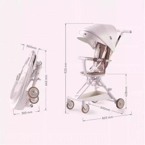 Playkids Easi Plus 2 Way Baby Cabin Stroller Rider/Walker (Black)