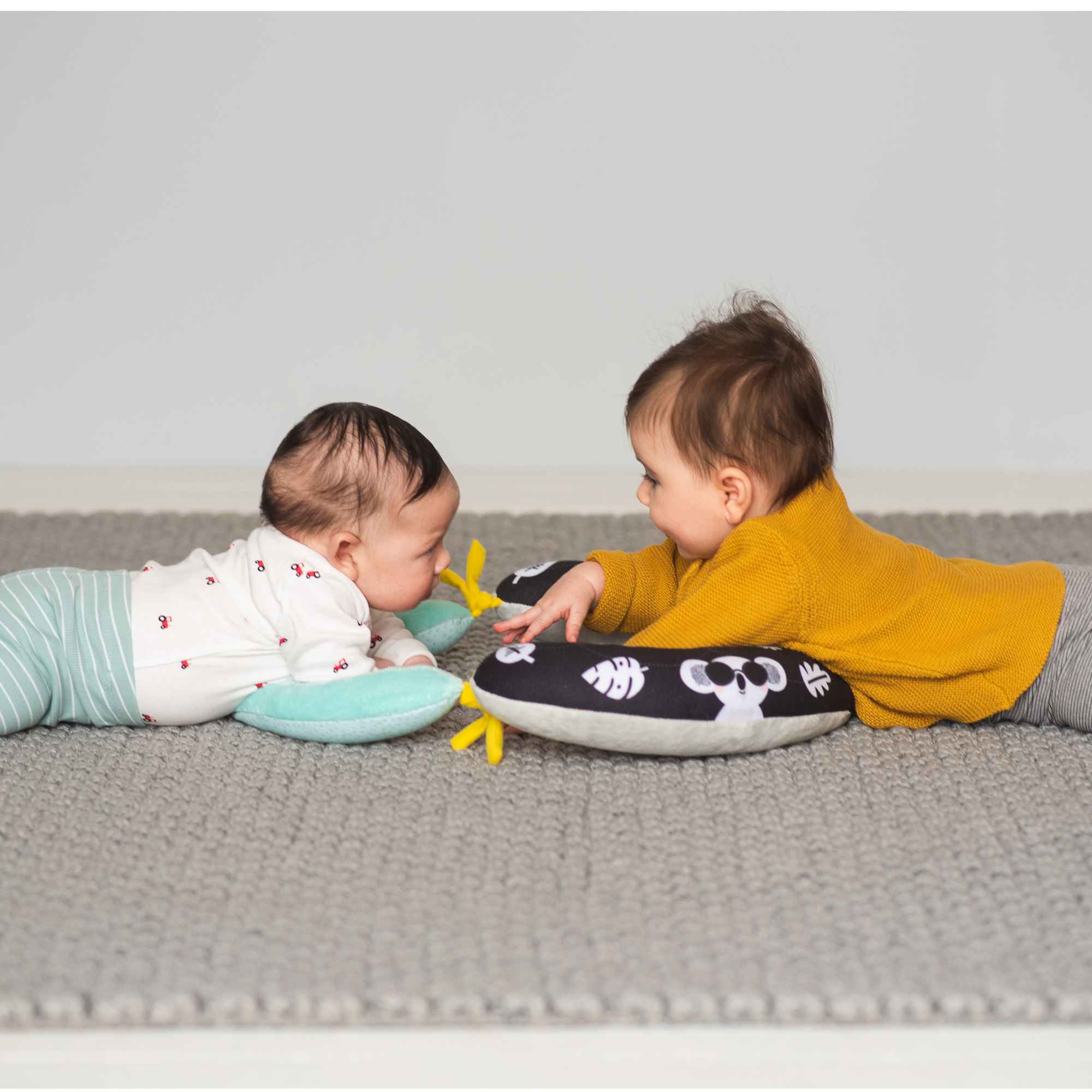 Taf Toys 2 In 1 Tummy Time Pillow