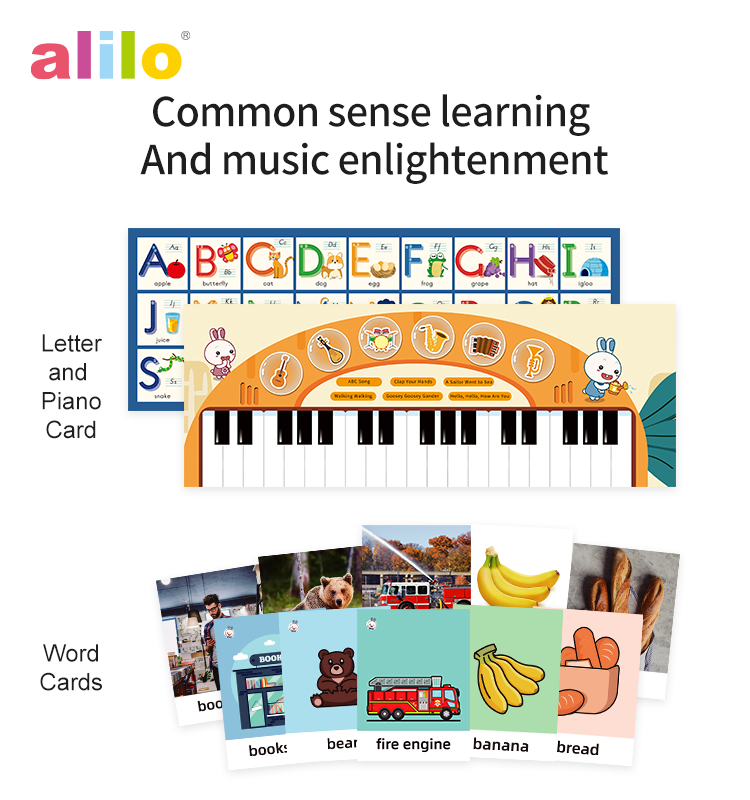 Alilo Early Educational Talking Pen