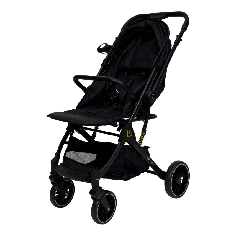 Bonbijou FLEXI-GO 2-Way Stroller