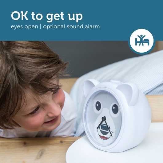 Zazu Sleeptrainer With Alarm Clock, Bobby The Bear