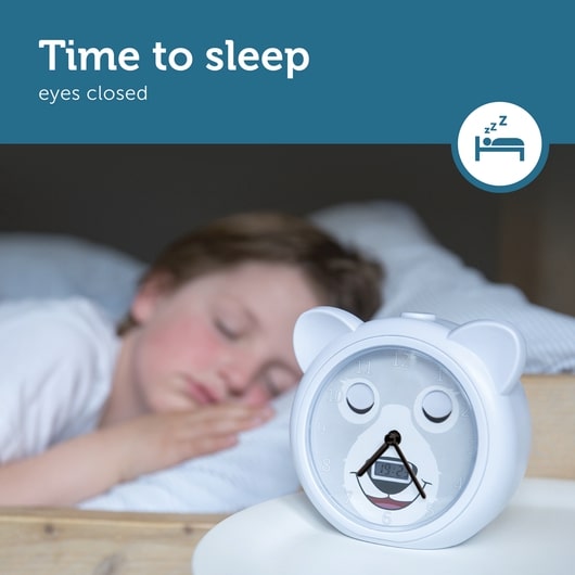Zazu Sleeptrainer With Alarm Clock, Bobby The Bear