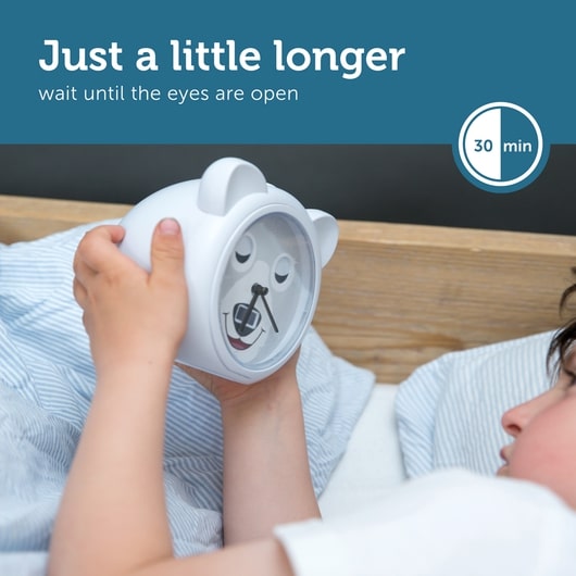 Zazu Sleeptrainer With Alarm Clock, Bobby The Bear
