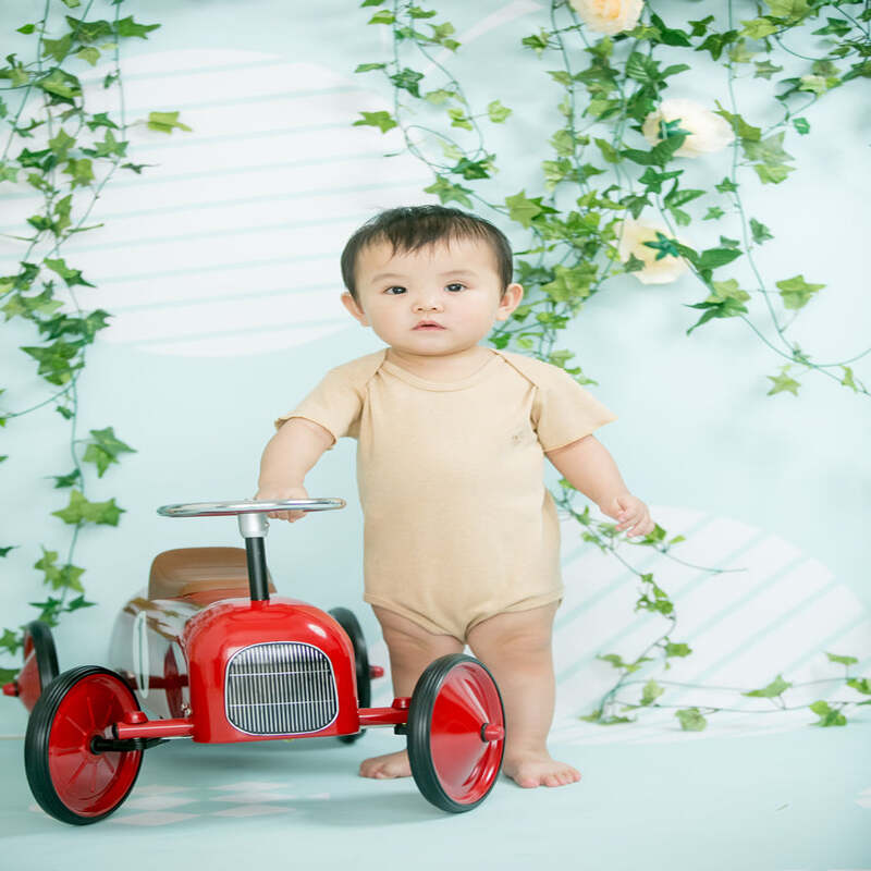 Baby Piper Short Sleeve Onesie 100% Organic Cotton Dye-Free (1115) Brown