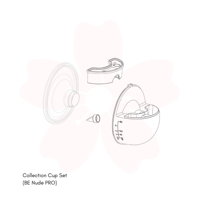 Baby Express BE Nude Pro 3pcs Cup Set