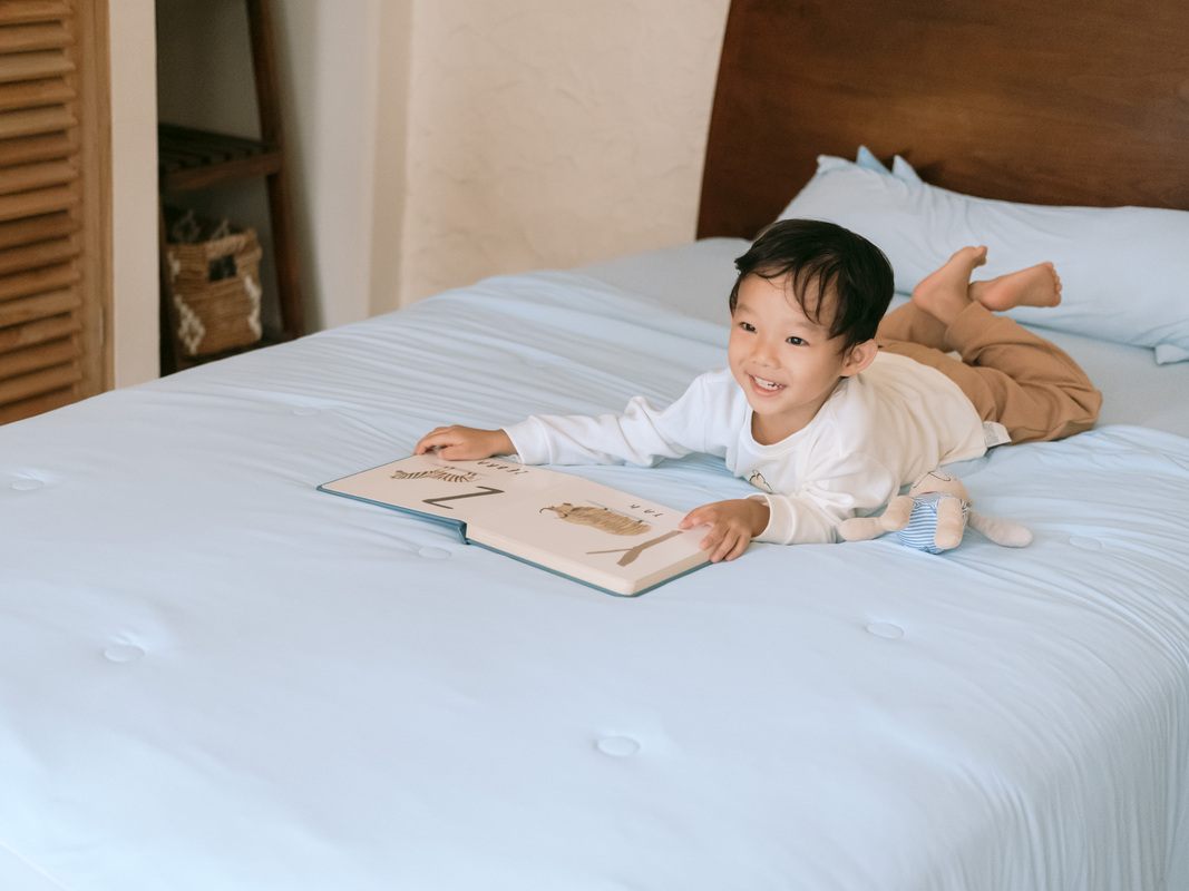 Japheth Chiara Toddler Single Sheet (90 X 190cm)