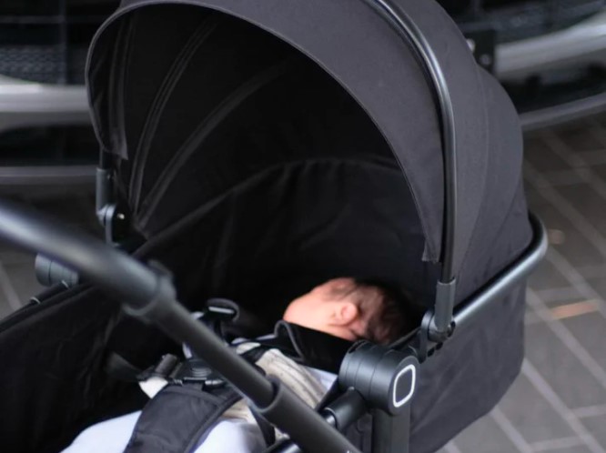 Tiny Bloom Club Bloom Magic Stroller (Infant To Toddler)