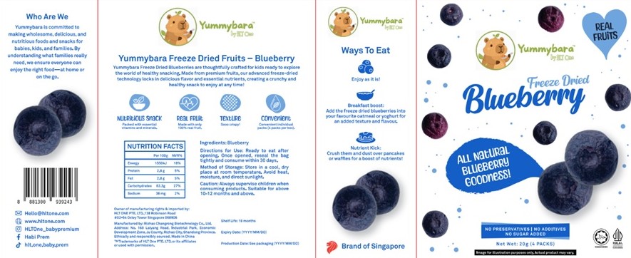 Yummybara Freeze Dry Fruits