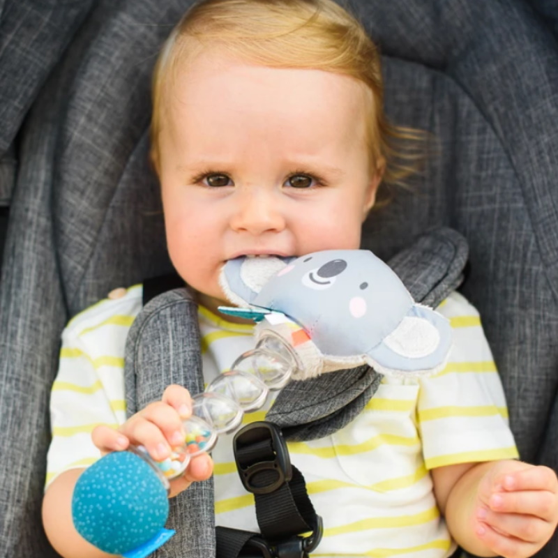 Taf Toys Rainstick Rattle (Koala)