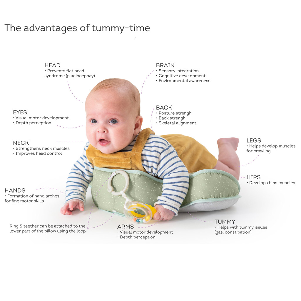 Taf Toys Savannah Tummy-Time Pillow