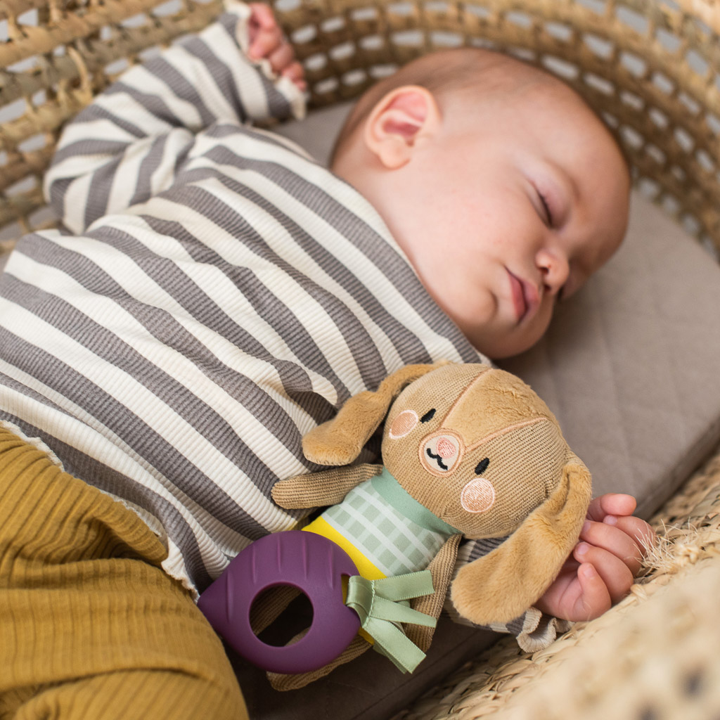 Taf Toys Jenny The Bunny