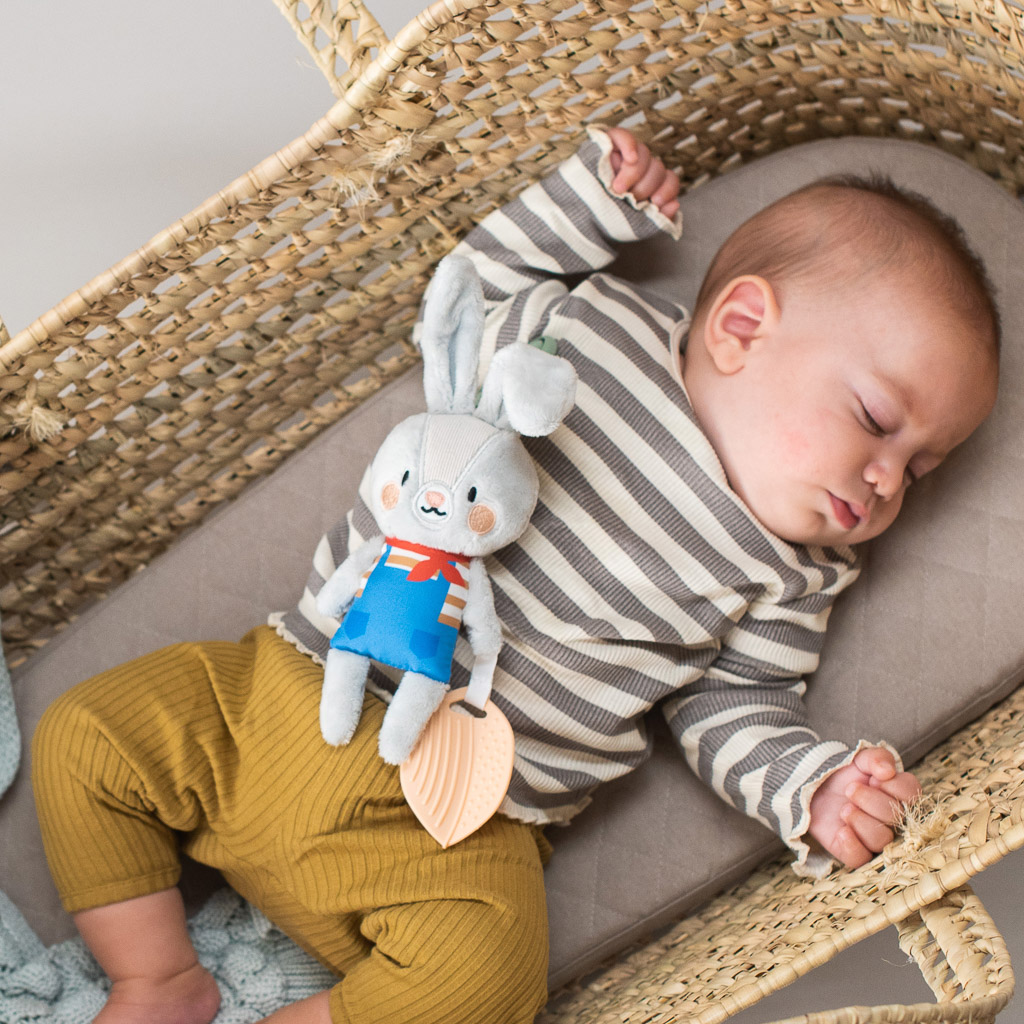 Taf Toys Rylee The Bunny