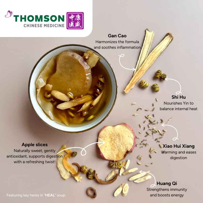 Thomson Chinese Medicine 28 Day Confinement Herbal Soups And Tea