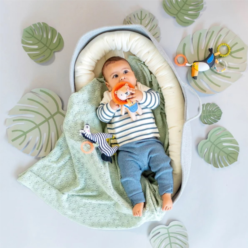 Taf Toys Baby Rattle - Harry The Lion/Dizi The Zebra/Tuki The Toucan