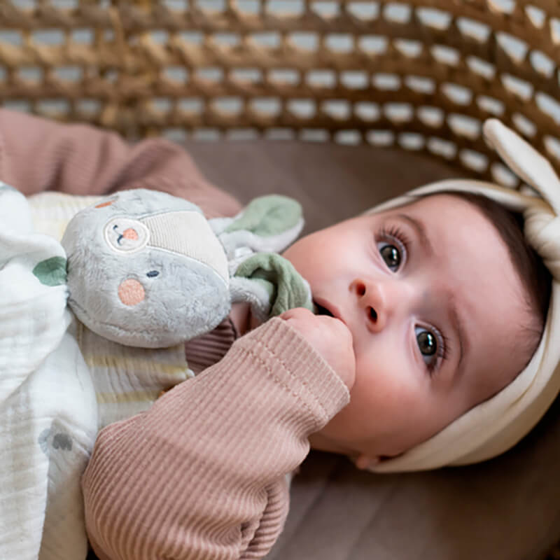 Taf Toys Bunny Blankie