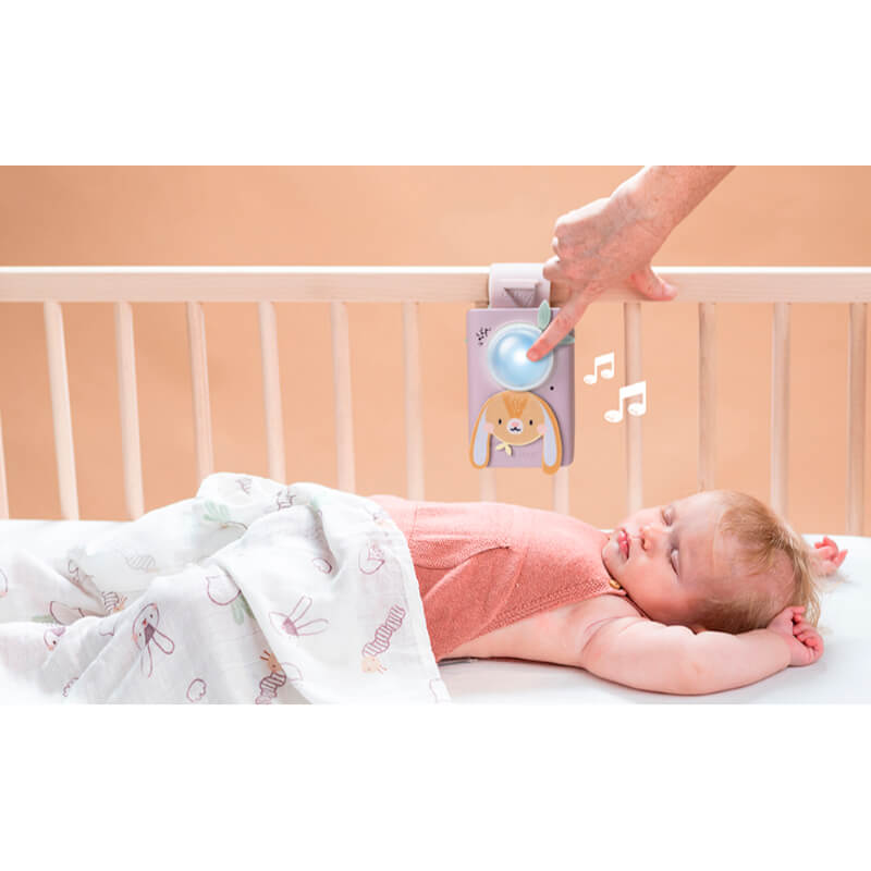 Taf Toys Bunny Soother & Swaddle Set