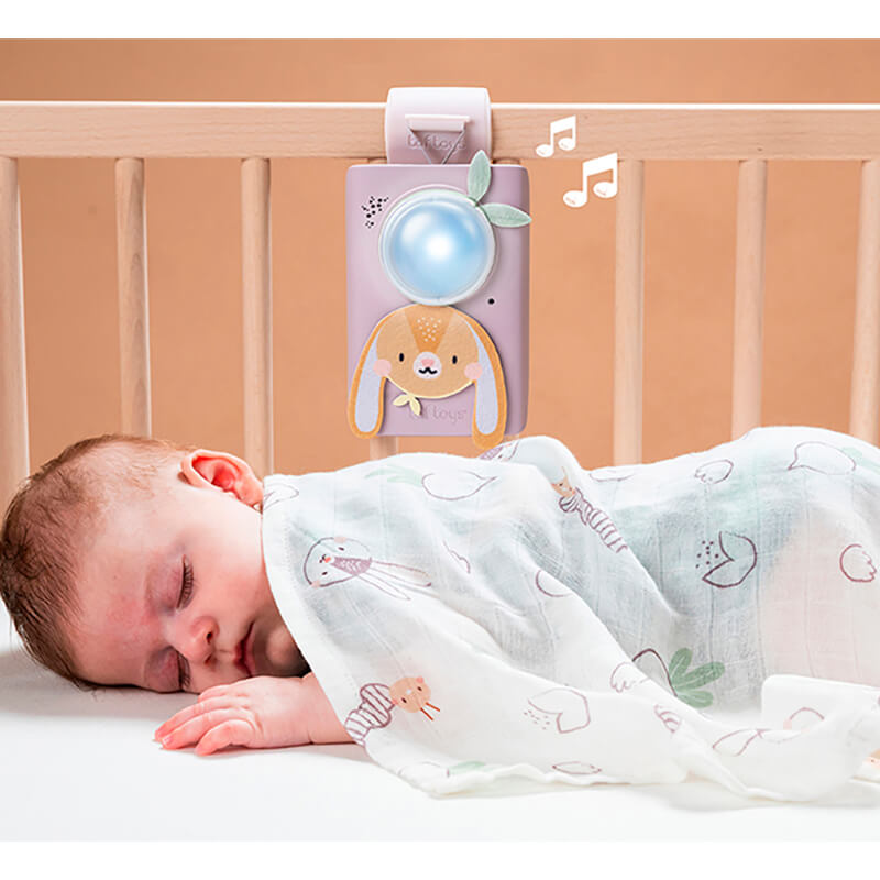Taf Toys Bunny Soother & Swaddle Set