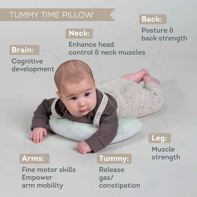 Taf Toys Tummy Time Essentials Kit